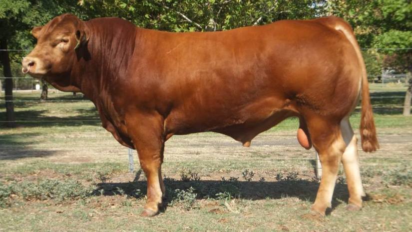 10172625_425896090858959_2277222292222547207_n