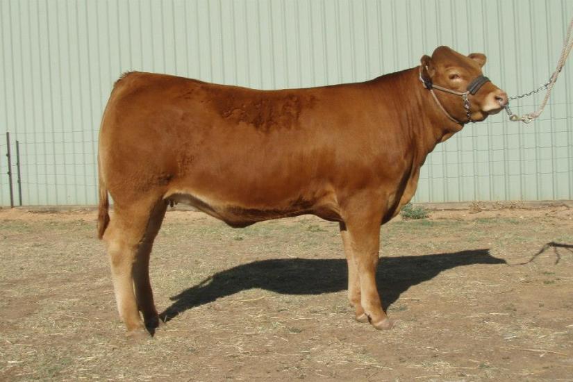 10268647_425883787526856_4902849872933826026_n