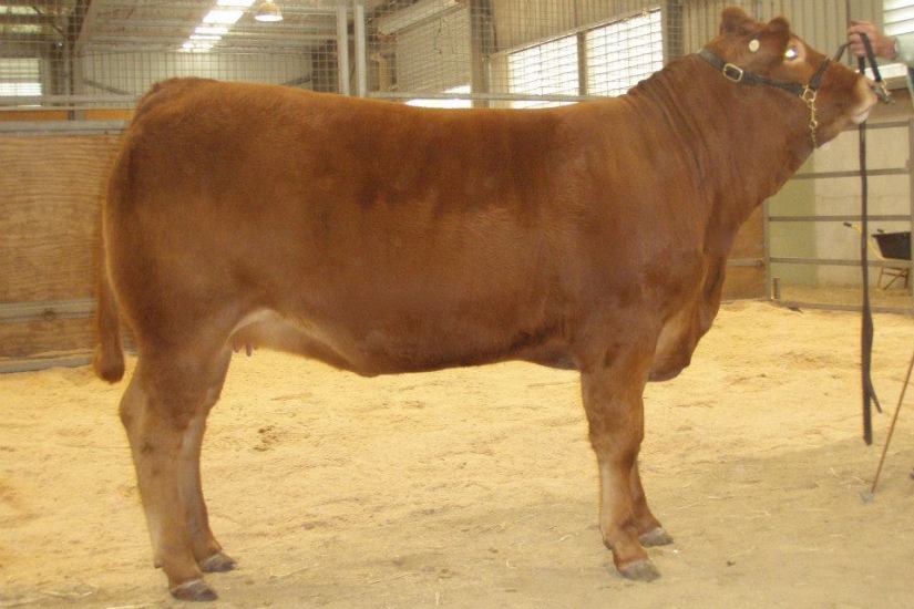 10639575_478362728945628_682355555503557232_n