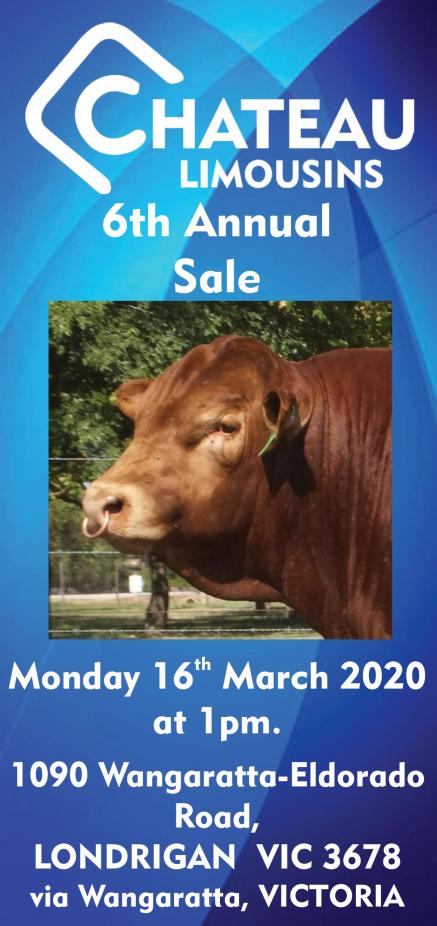 Chateau Limousins - 2020 - 6th Annual Sale Cover
